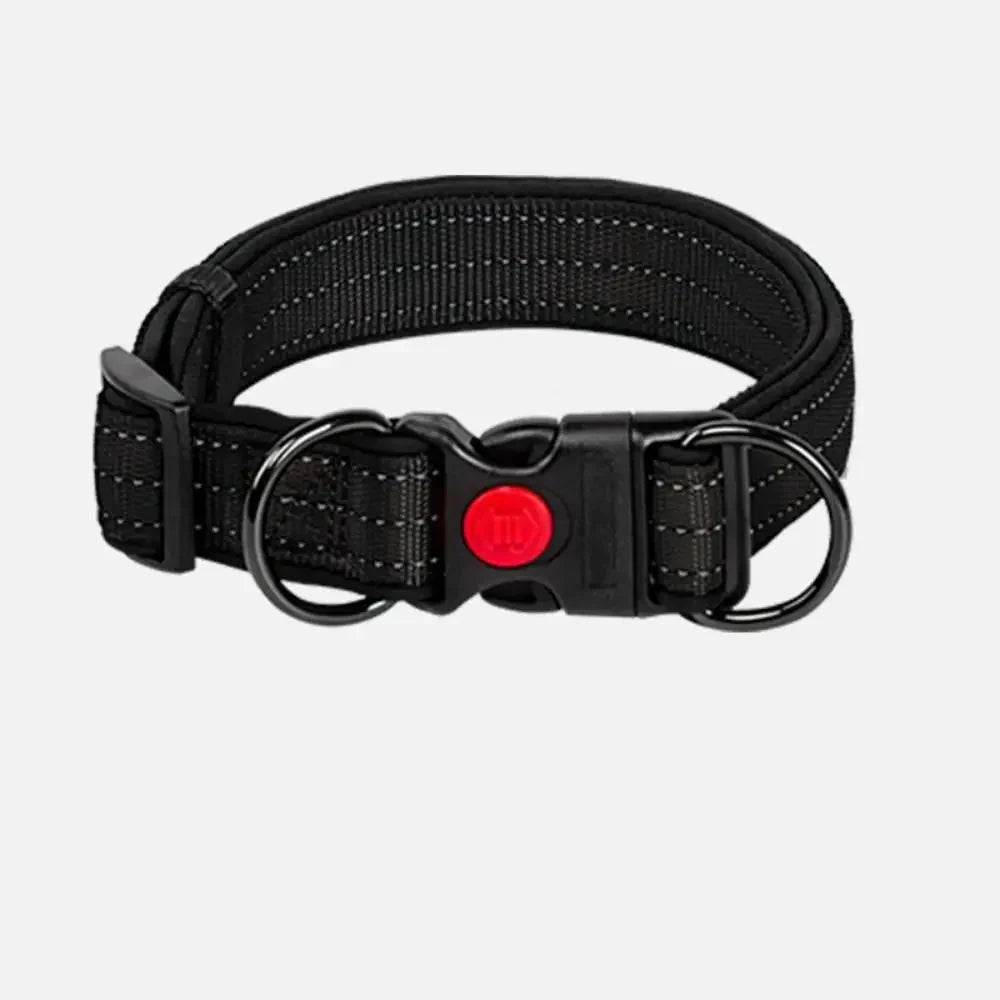 Reflective Dog Collar with Double D-Ring