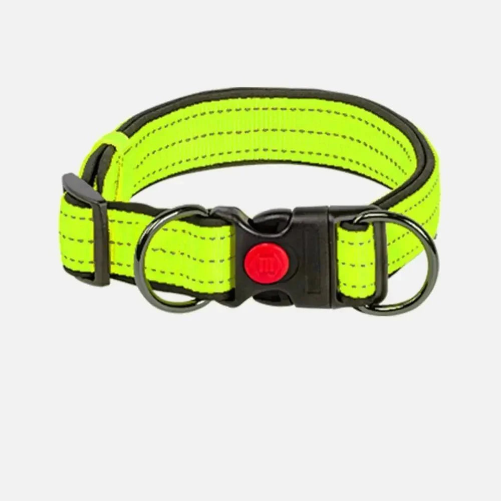 Reflective Dog Collar with Double D-Ring