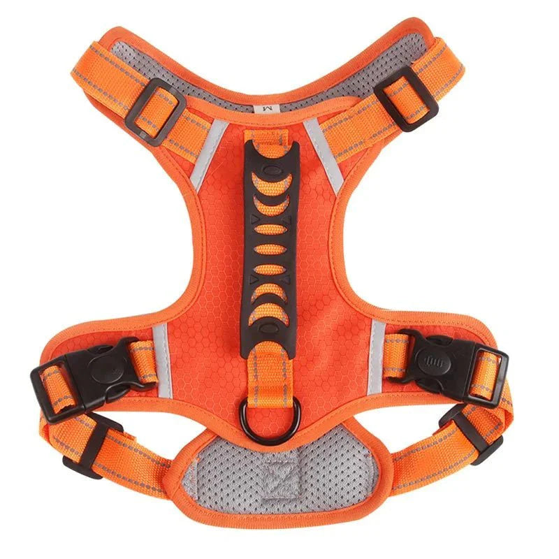 Reflective Dog Harness – Adjustable Nylon Harness for Walking