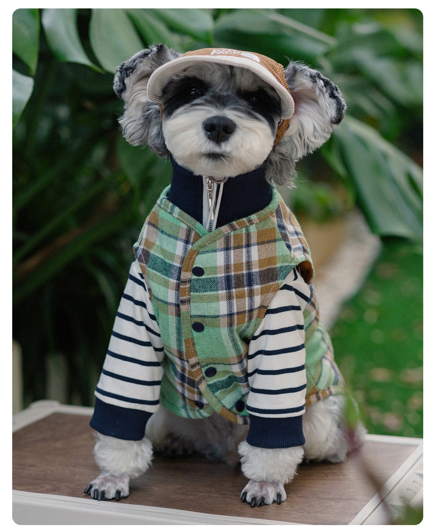 Reversible Dog Vest -2 looks in 1 vest
