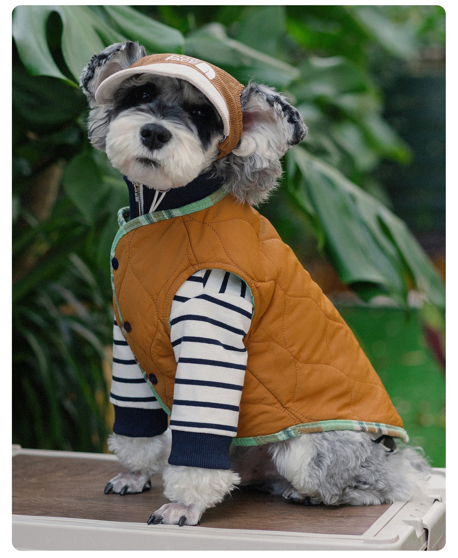 Reversible Dog Vest -2 looks in 1 vest