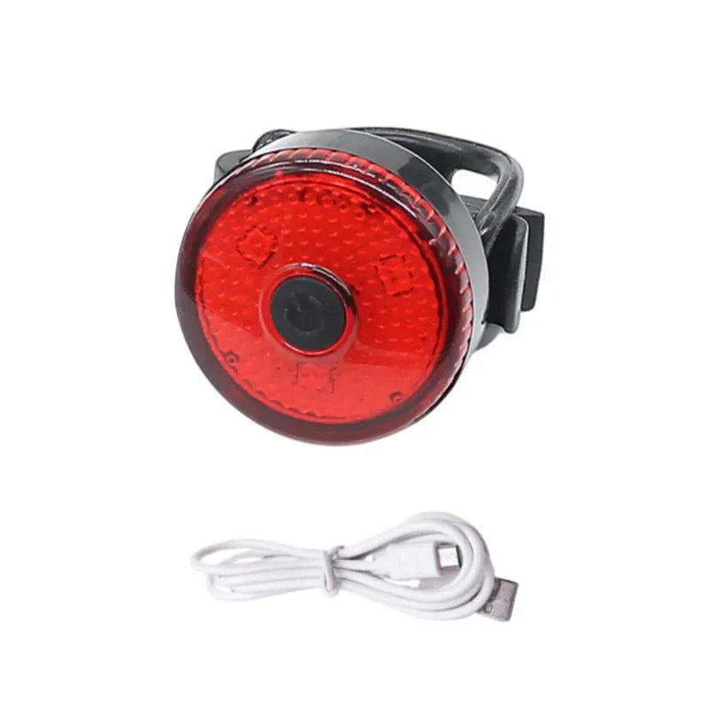 ShinePet LED Collar Pendant Rechargeable