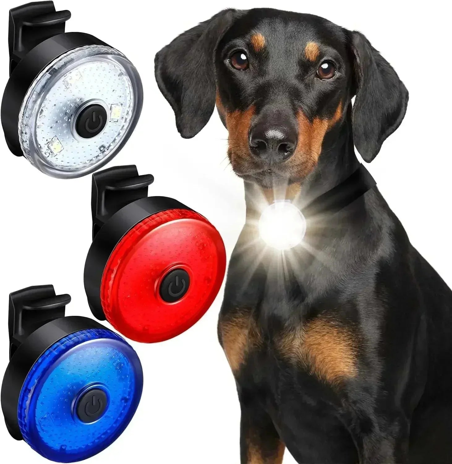 ShinePet LED Collar Pendant Rechargeable