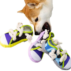 Shoe Squeaky Toy