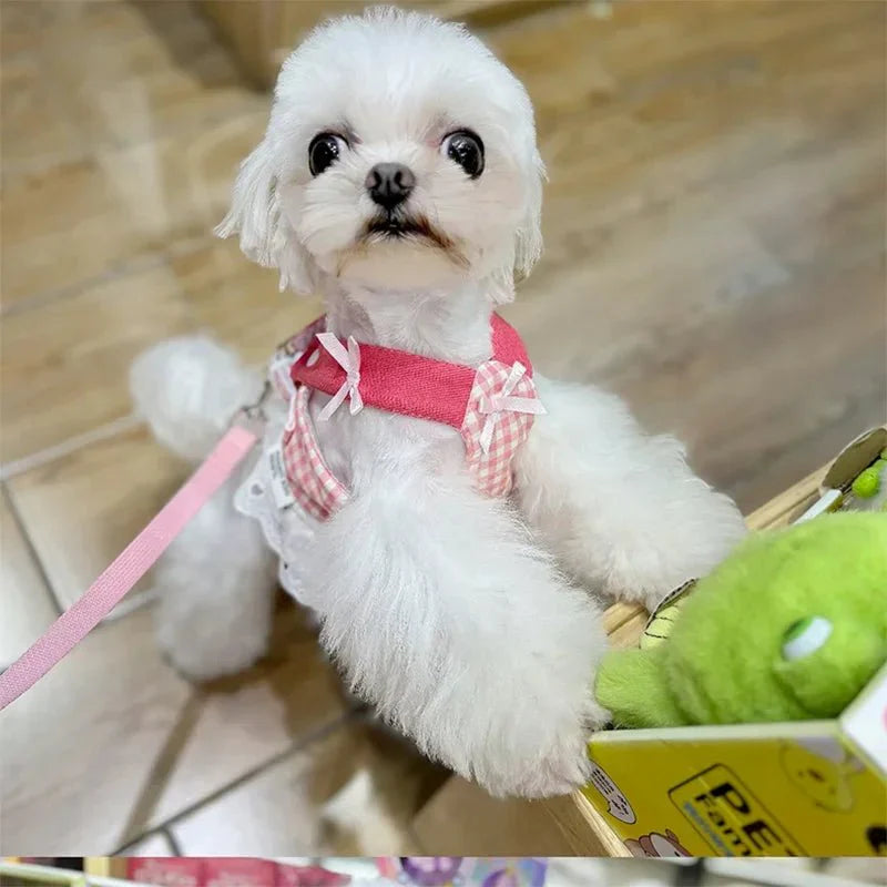 Strawberry Lace Harness Leash Set Vest