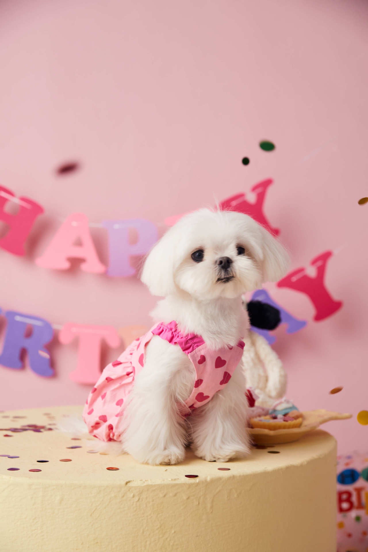 Sweetheart Pink Dress