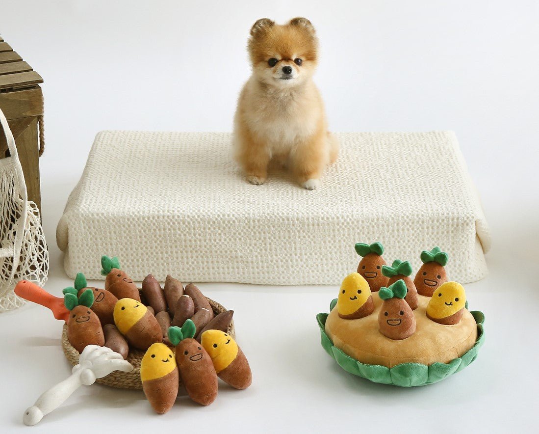 Sweet Potato Set Plush Toys with Sound