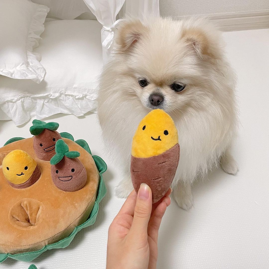 Sweet Potato Set Plush Toys with Sound