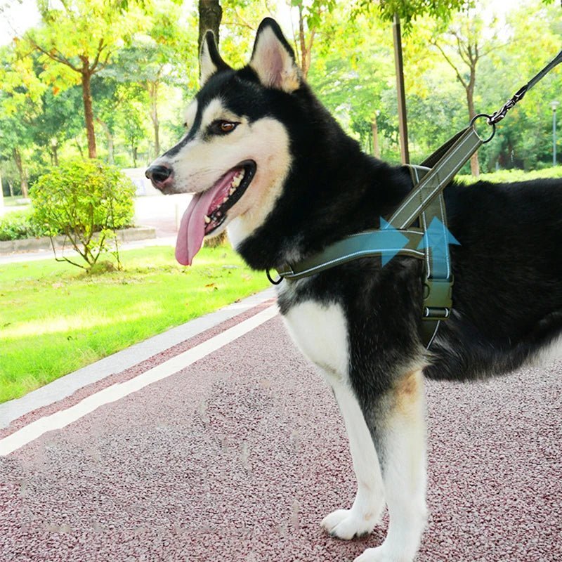 Tactical Chest Harness for Dogs – Adjustable Nylon Harness
