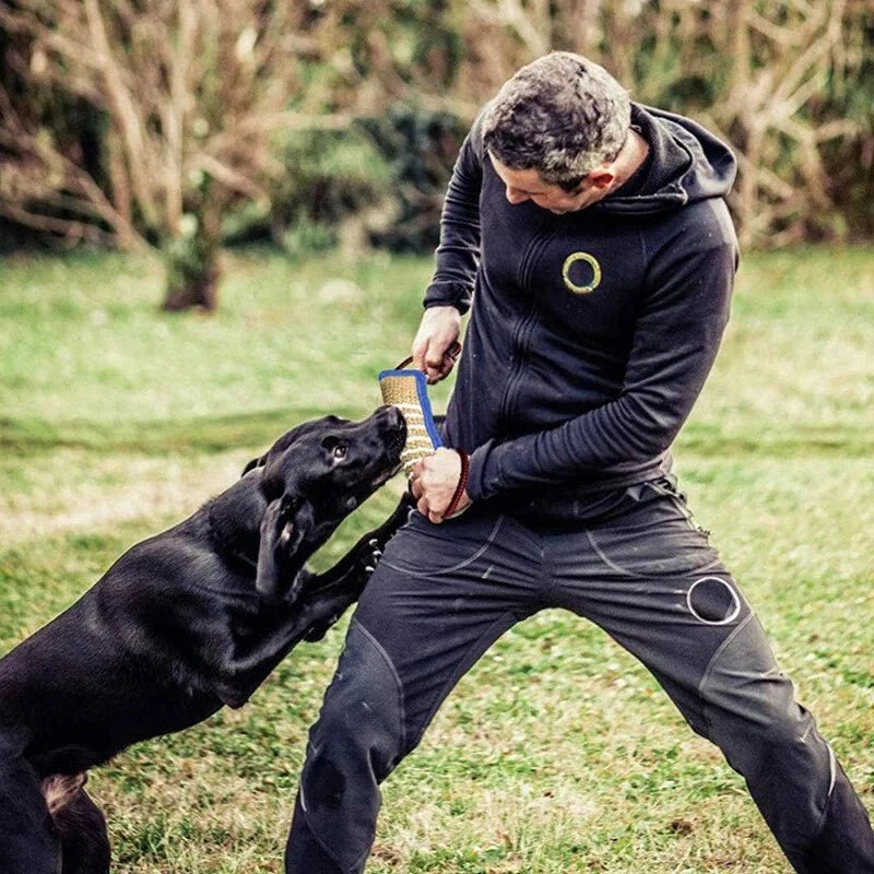 Training Dogs Chew Sticks To Pick Up
