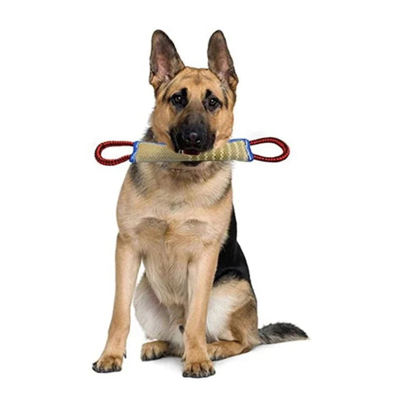 Training Dogs Chew Sticks To Pick Up