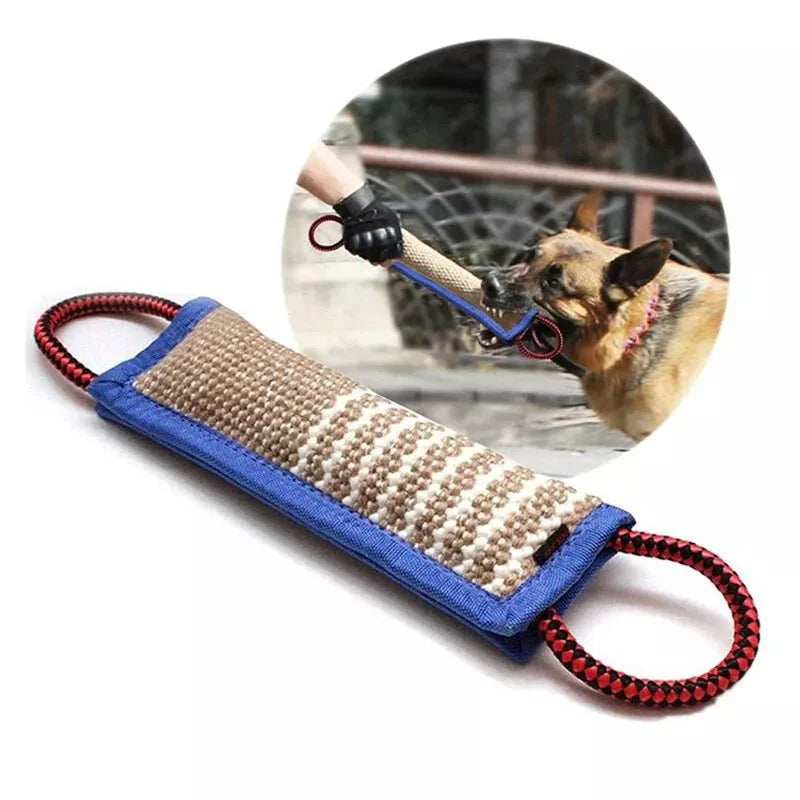 Training Dogs Chew Sticks To Pick Up
