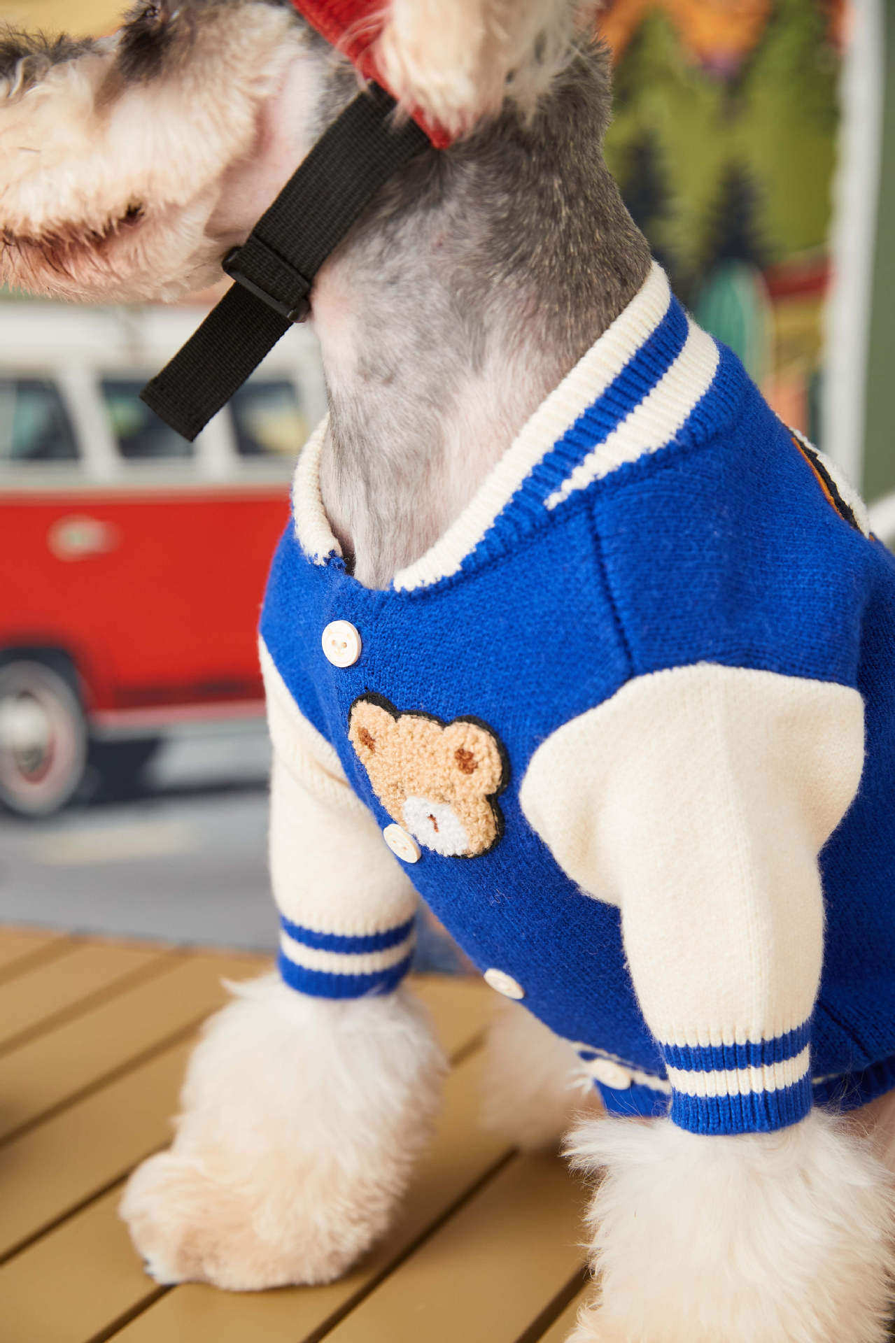 Trendy Pup Baseball Jacket