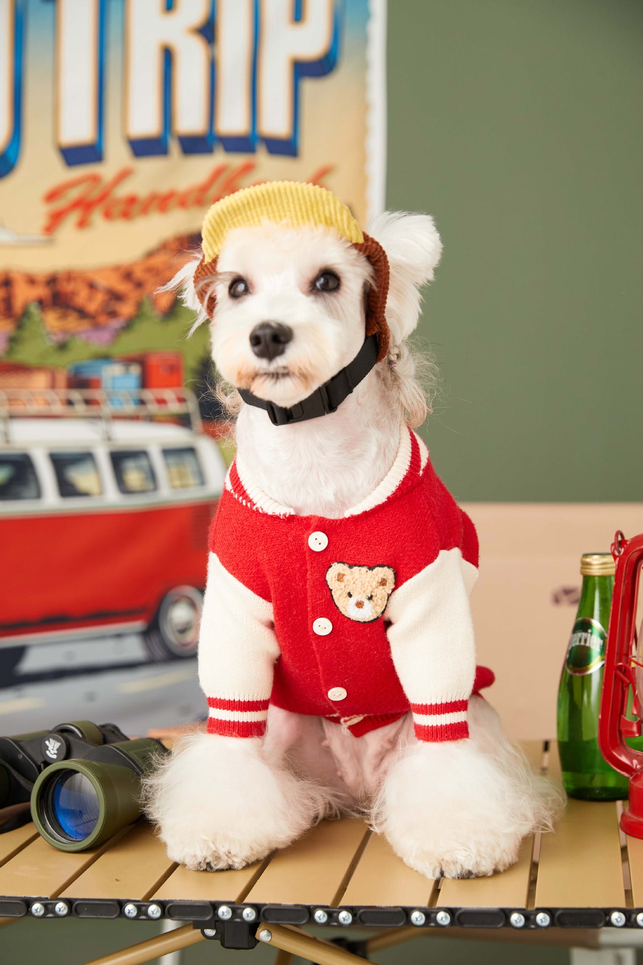 Trendy Pup Baseball Jacket