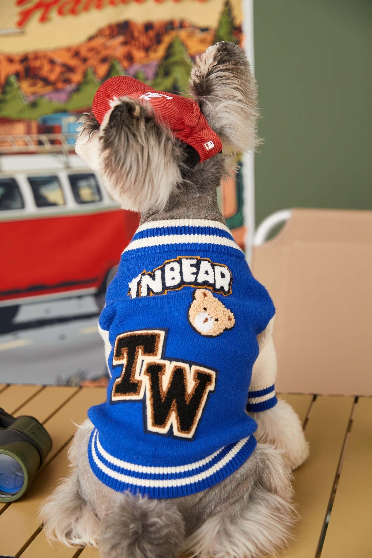 Trendy Pup Baseball Jacket
