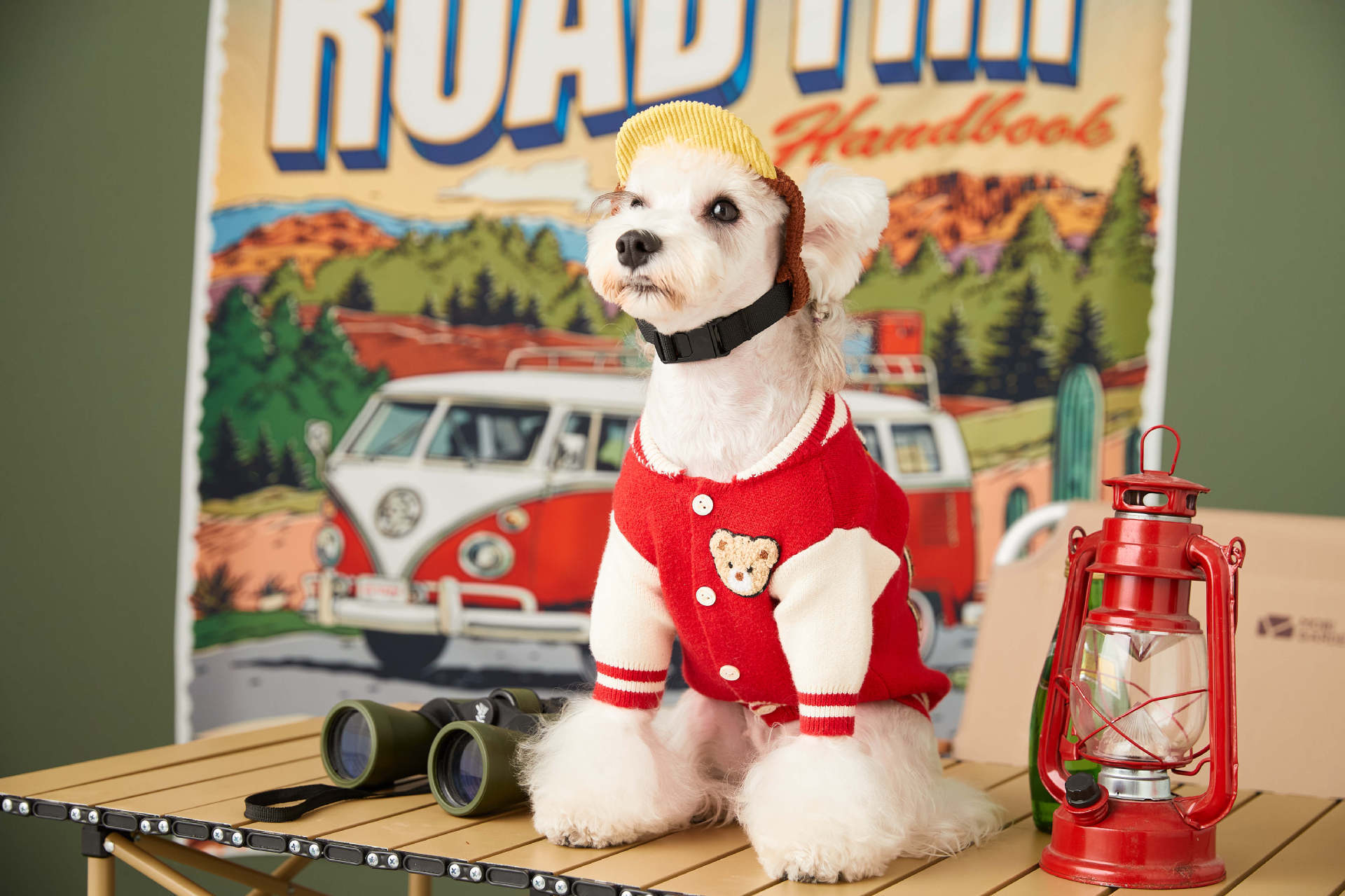 Trendy Pup Baseball Jacket