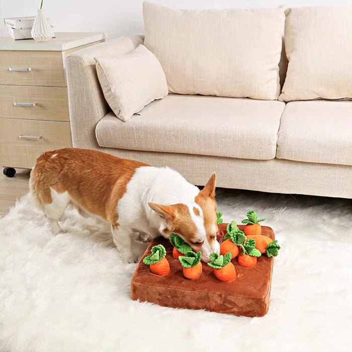 Ultra-soft Carrot Best Plush Toys