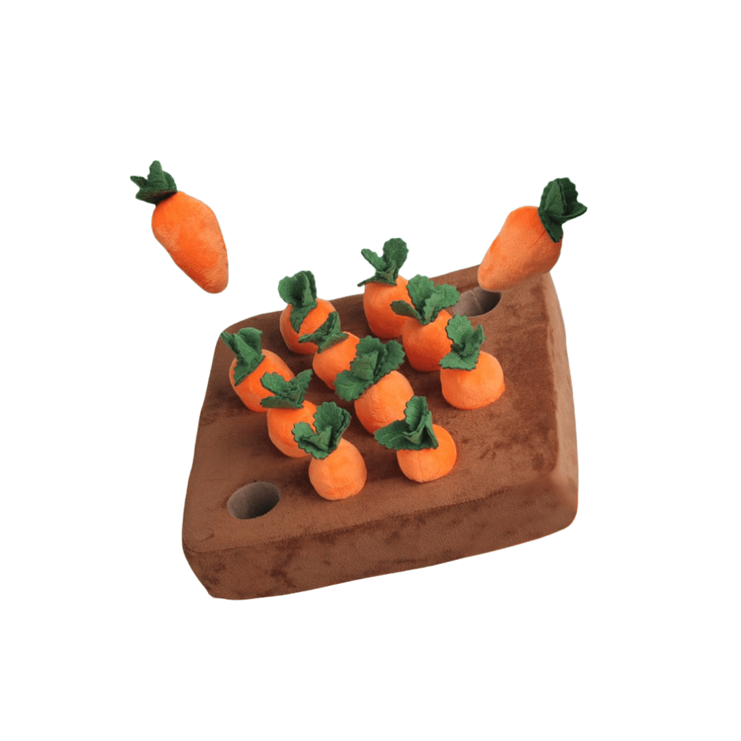 Ultra-soft Carrot Best Plush Toys