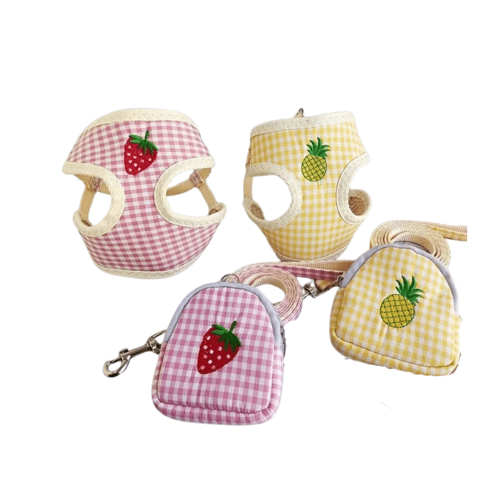 Vest Chest Harness and Leash Set