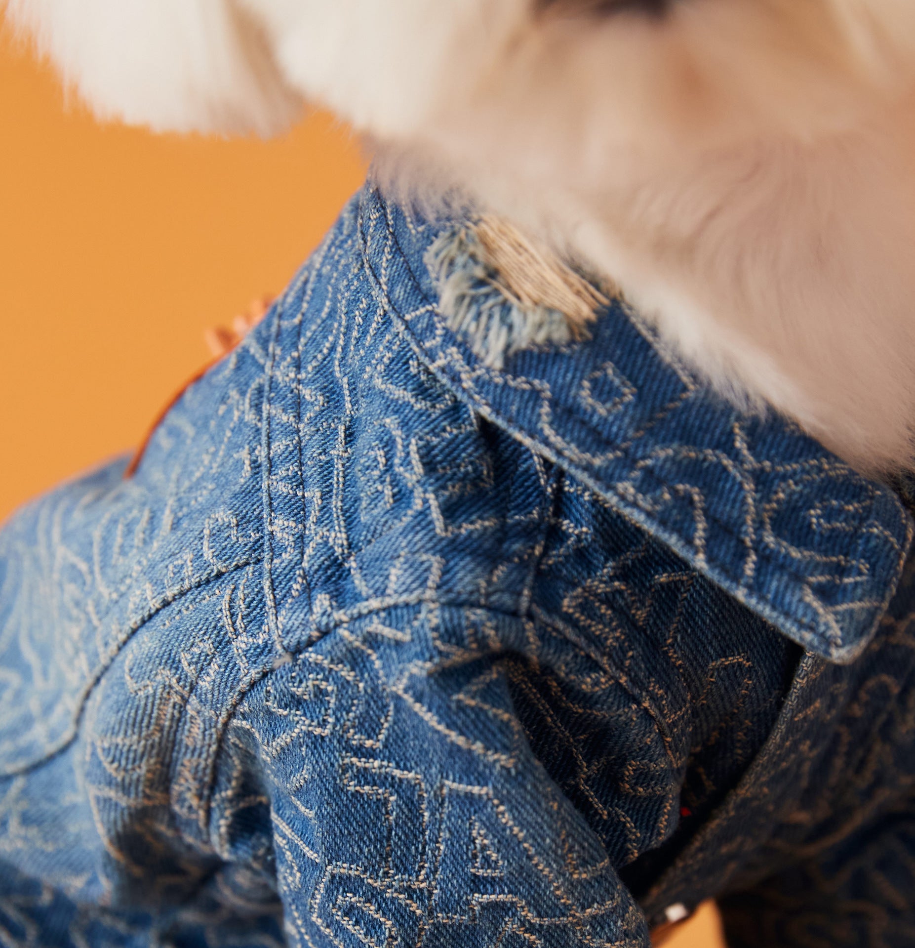 Vintage Distressed Denim Jacket