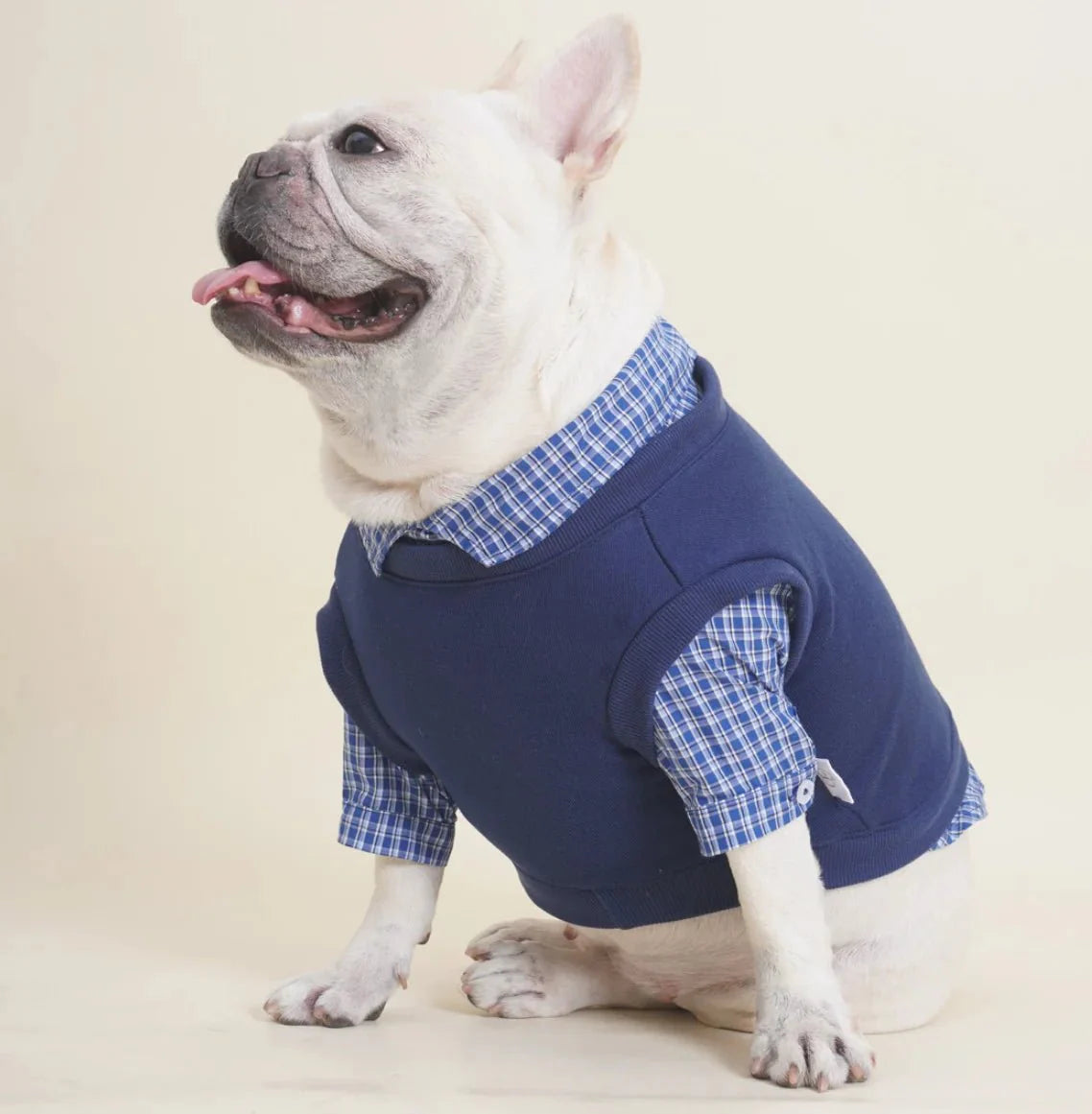 T-shirt Velvet Fleece-lined