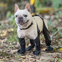 Waterproof Leggings Adjustable Paw Protection